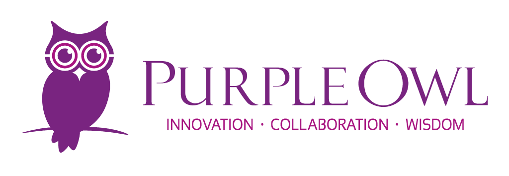 Purple Owl Consulting